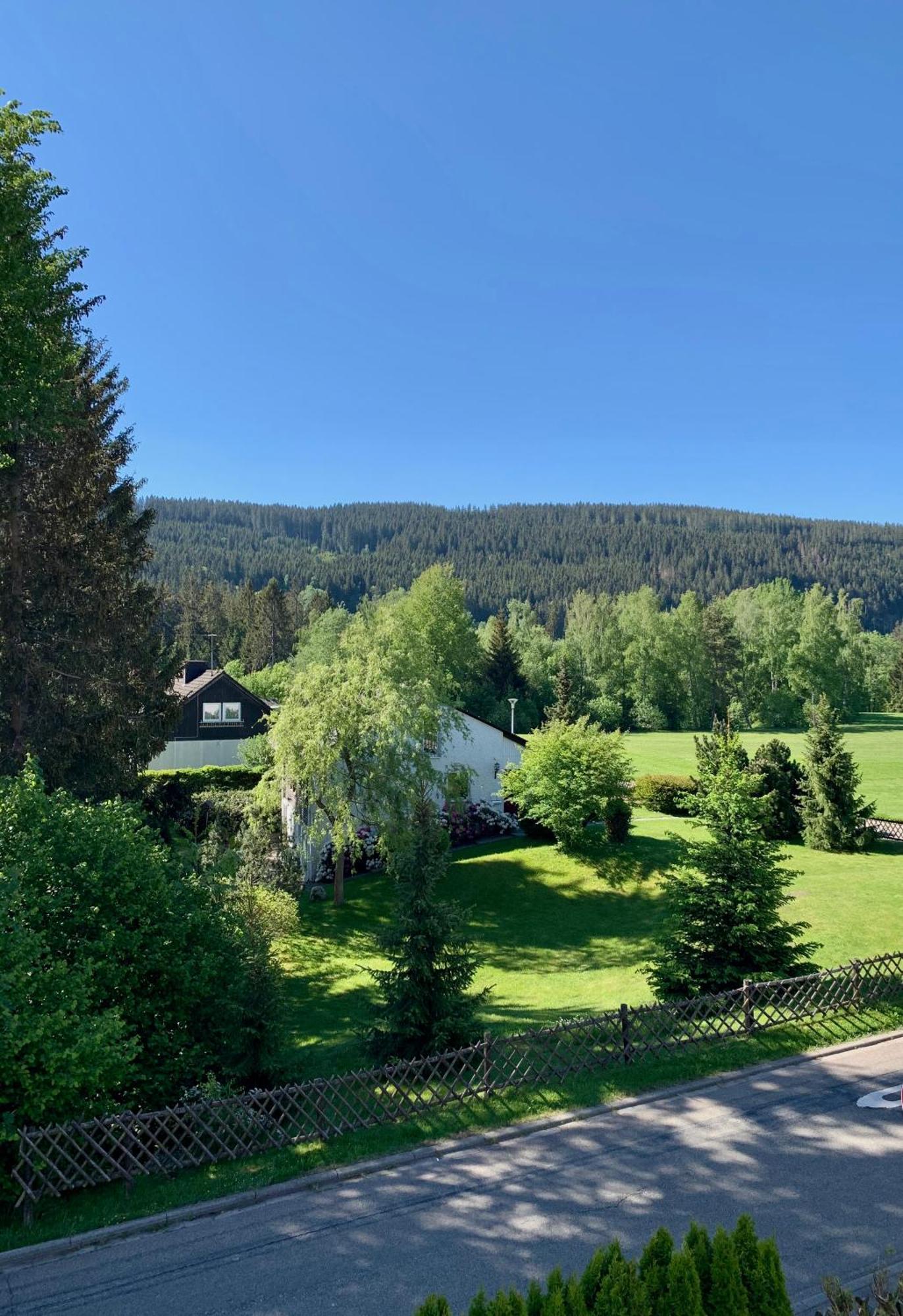 Ferienwohnung Homburger - Titisee Kültér fotó