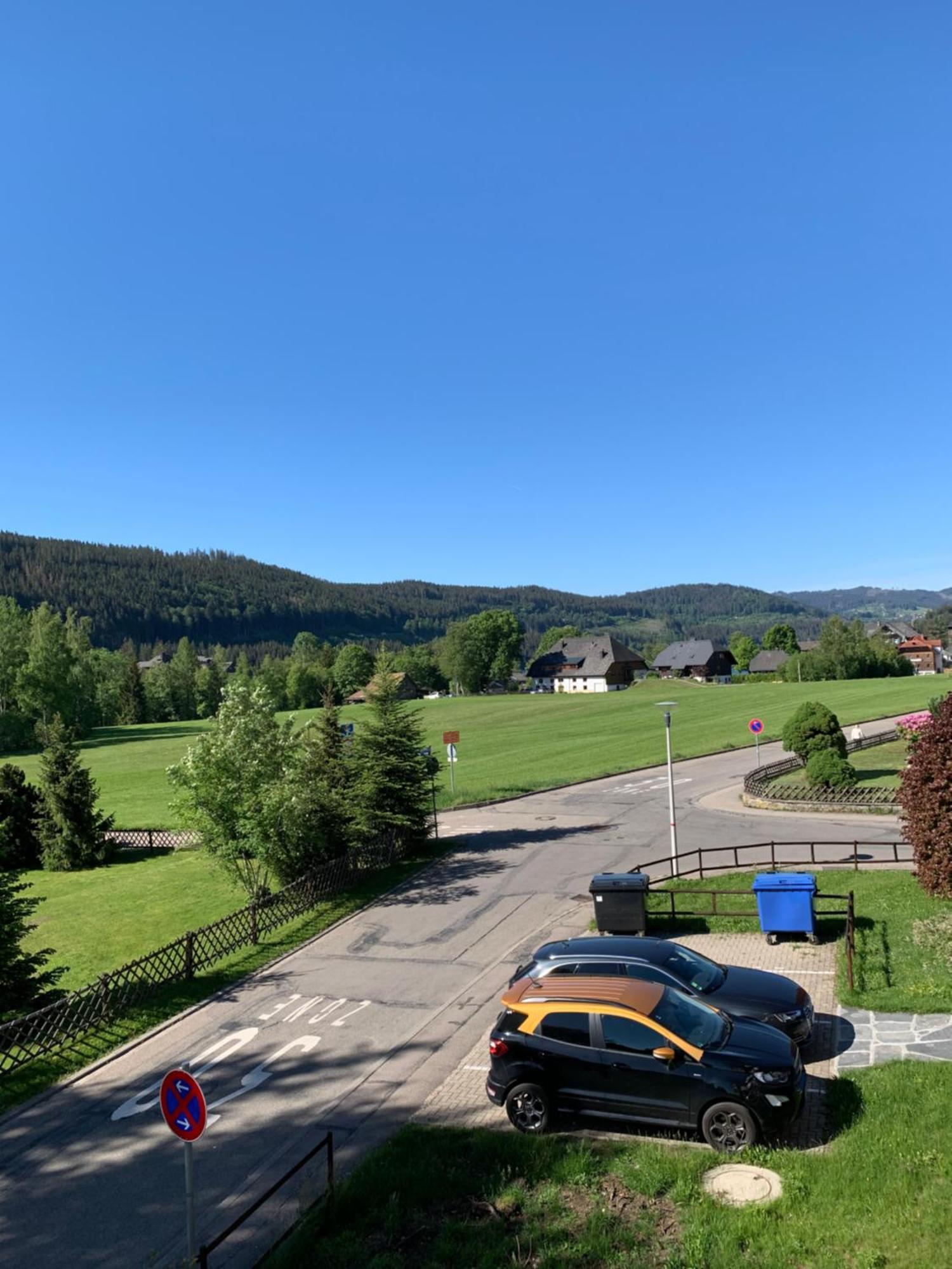 Ferienwohnung Homburger - Titisee Kültér fotó