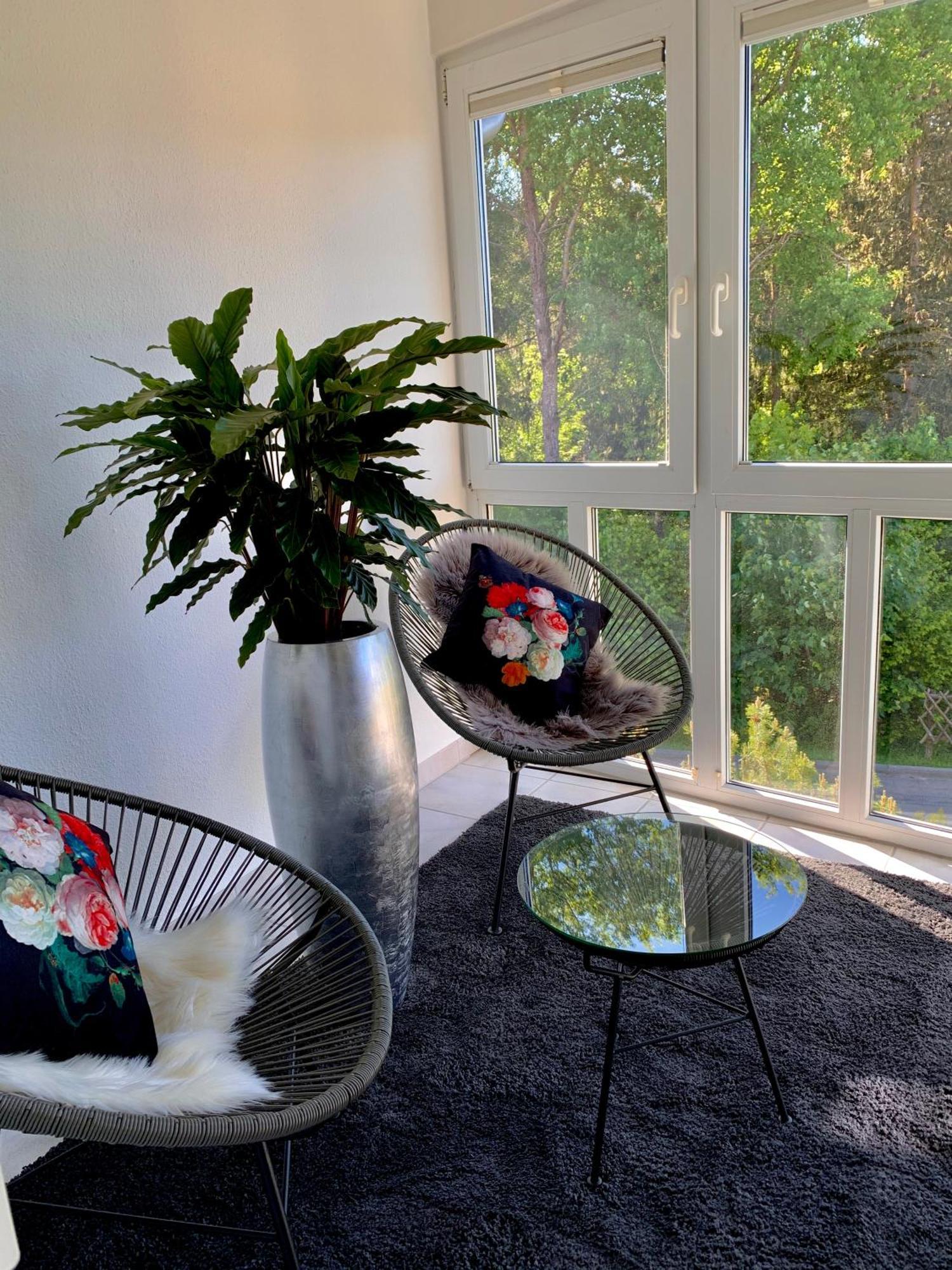 Ferienwohnung Homburger - Titisee Kültér fotó